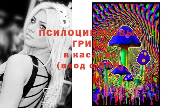 mdma Карпинск