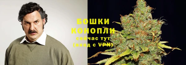 СК Касимов