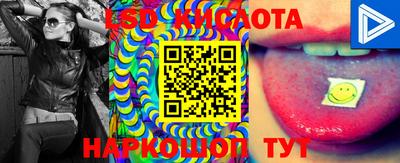 шишки Волжский