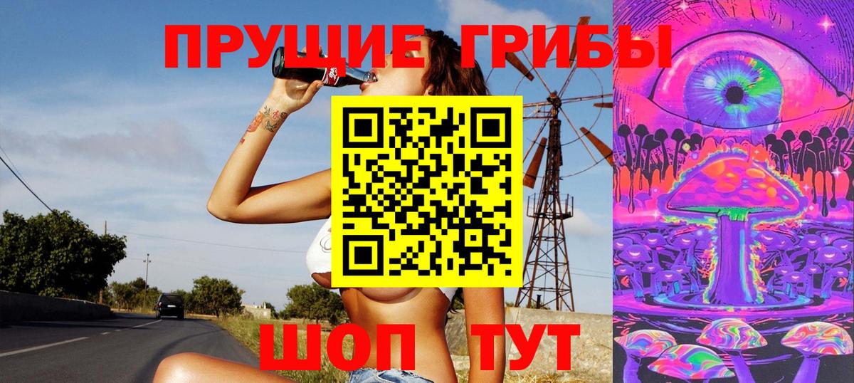 Псилоцибиновые грибы GOLDEN TEACHER  Дзержинск 