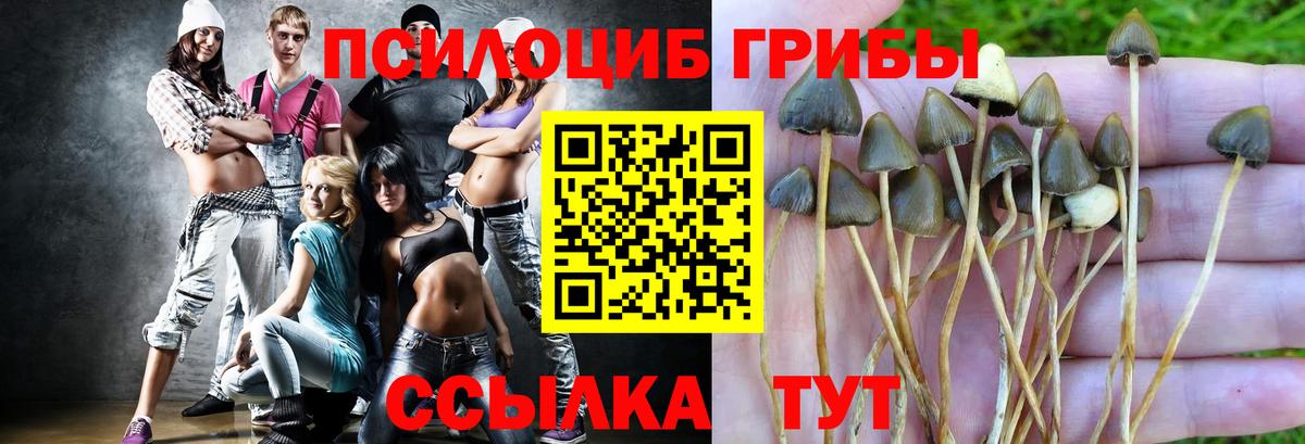 Галлюциногенные грибы Cubensis Дзержинск
