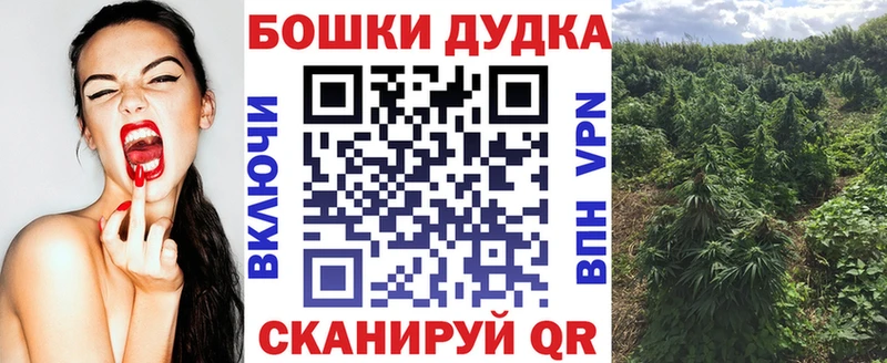 купить   Дзержинск  Канабис ГИДРОПОН 