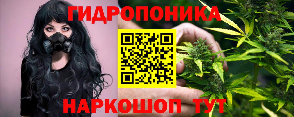 МАРИХУАНА план Дзержинск
